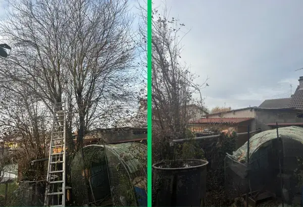 Abattage d arbre elagueur paysagiste allier elagage puy de dome taille de haies debroussaillage entretien espaces verts taille d arbre abattage arbre dangereux allier vichy 2