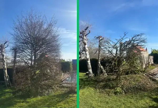 Abattage d arbre elagueur paysagiste allier vichy saint germain des fossees