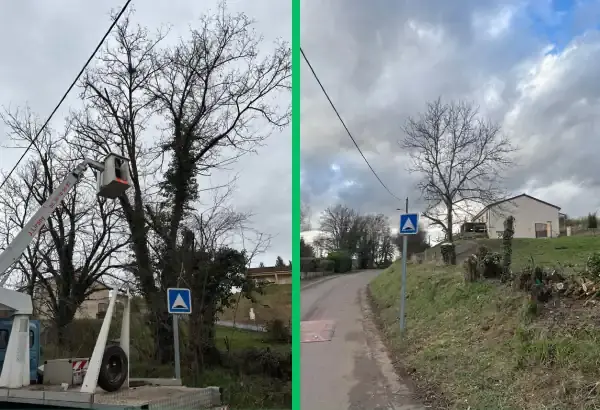 Abattage d arbres dangeureux elagueur paysagiste allier vichy 1