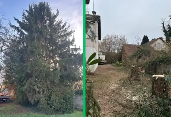 Abattage d arbres dangeureux elagueur paysagiste allier vichy