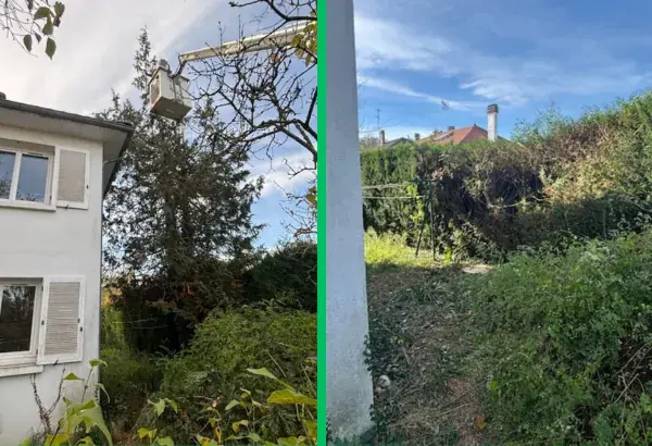 Realisation abattage d arbre avec nacelle 1