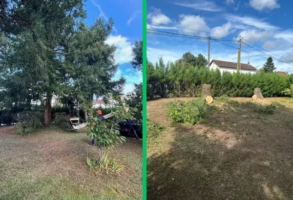 Realisation abattage d arbre