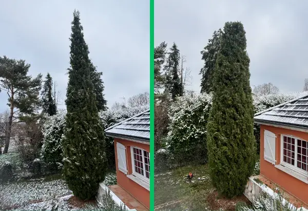 Taille de haie elagueur paysagiste allier elagage puy de dome taille de haies debroussaillage entretien espaces verts taille d arbre abattage arbre dangereux allier vichy 1