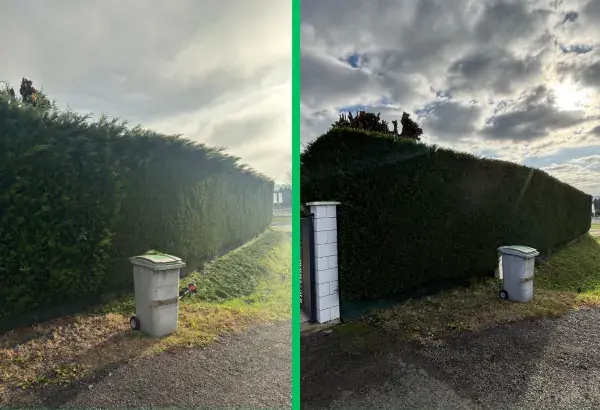 Taille de haies élagueur paysagiste allier elagage puy de dome taille de haies debroussaillage entretien espaces verts taille d arbre allier vichy 5