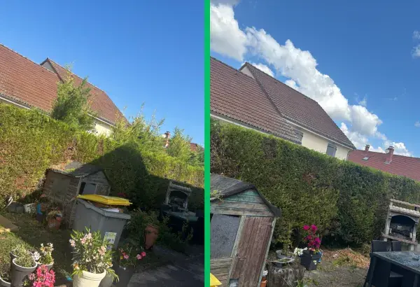 Taille de haies elagueur paysagiste allier elagage vichy taille de haies debroussaillage entretien espaces verts entretien jardin taille d arbre 3