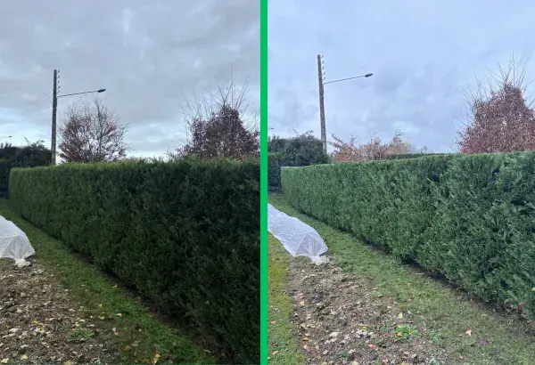 Taille de haies elagueur paysagiste allier elagage vichy taille de haies debroussaillage entretien espaces verts entretien jardin taille d arbre