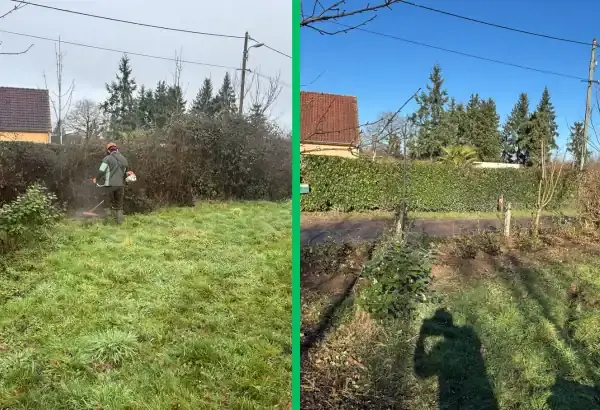 Taille de haies et ronces elagueur paysagiste allier vichy